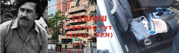 стаф Россошь