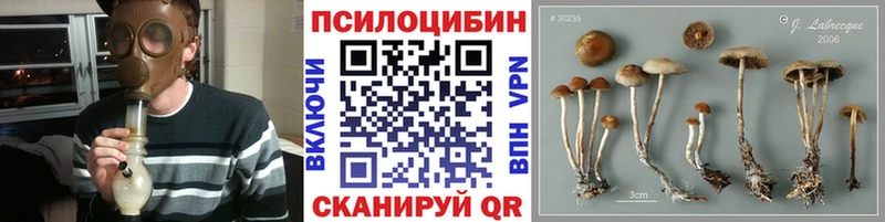 дарнет шоп Королёв Псилоцибиновые грибы Cubensis